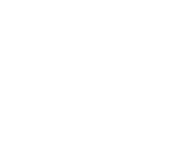 Zebra Coach